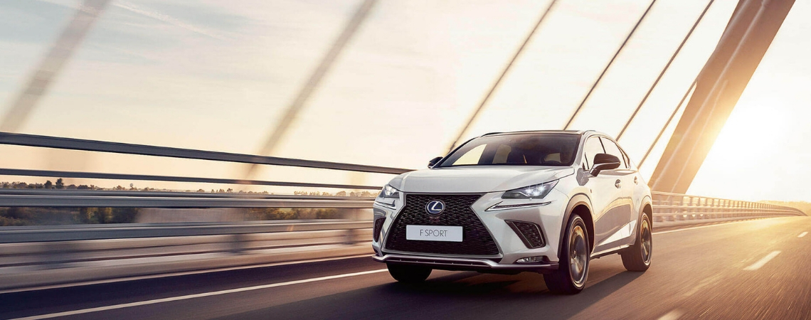 NX HYBRID - HYBRID BONUS